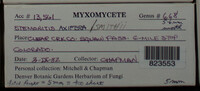 Image Associated With the Occurence
